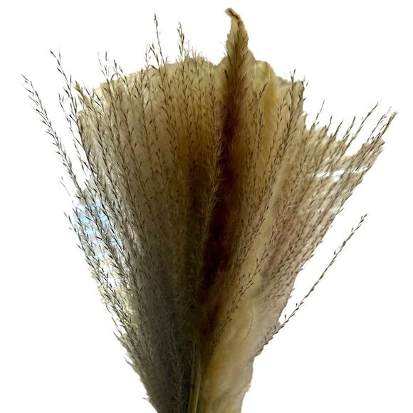 NIB Flora Bunda Pampas Grass in Blue Glass Vase - Picture 3 of 5